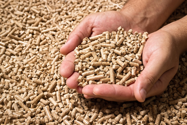 pellet